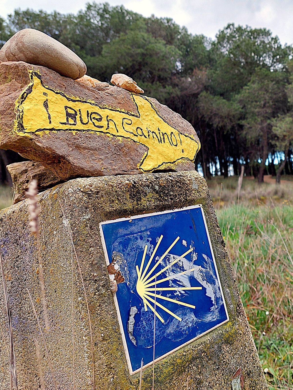 Infolge der Waldbrände sind Teile des spanischen Jakobsweg gesperrt. 