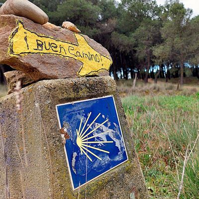 Infolge der Waldbrände sind Teile des spanischen Jakobsweg gesperrt. 
