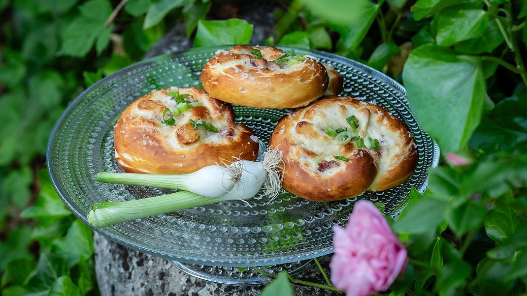 Leckere Laugenbrezel mit einem Belag aus Schmand, Crème fraîche, Speck, Käse und Lauchzwiebeln