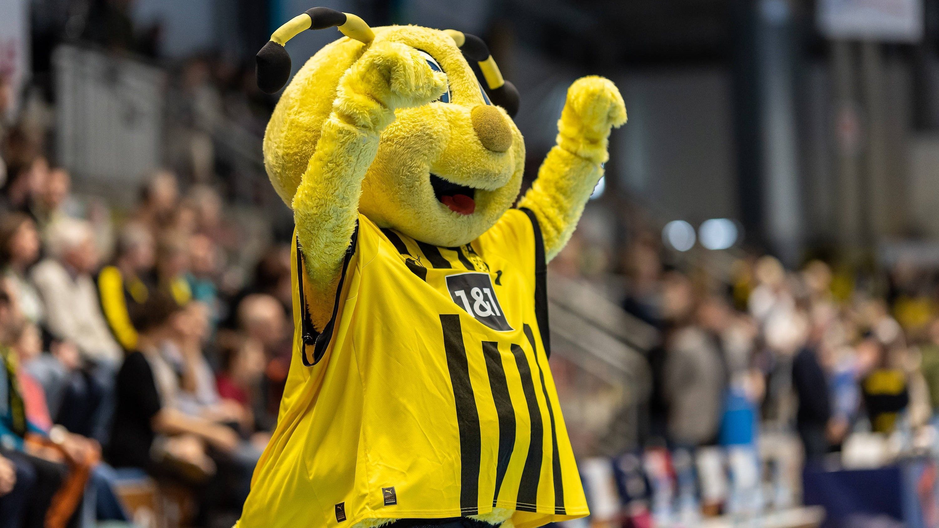 
                <strong>Borussia Dortmund</strong><br>
                Auch die Dortmunder Fußballer machen einen Ausflug ins Tierreich, um ihren NFL-Namen zu bekommen. Die Trikots sind schwarz-gelb, das Maskottchen ist eine Biene, klar, sie werden zu Dortmund Bees umbenannt. Vorteil: Wenn es sehr gut läuft, dürfen sie Dortmund Hornets (Hornissen) genannt werden, wenn es zu gemütlich zugeht Dortmund Bumblebees (Hummeln). 
              