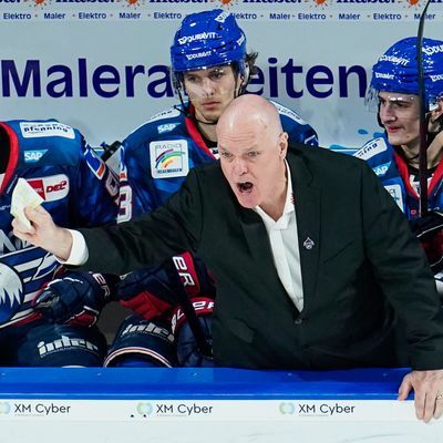 Der Trainer von Adler Mannheim, Bill Stewart, feuert sein Team an.