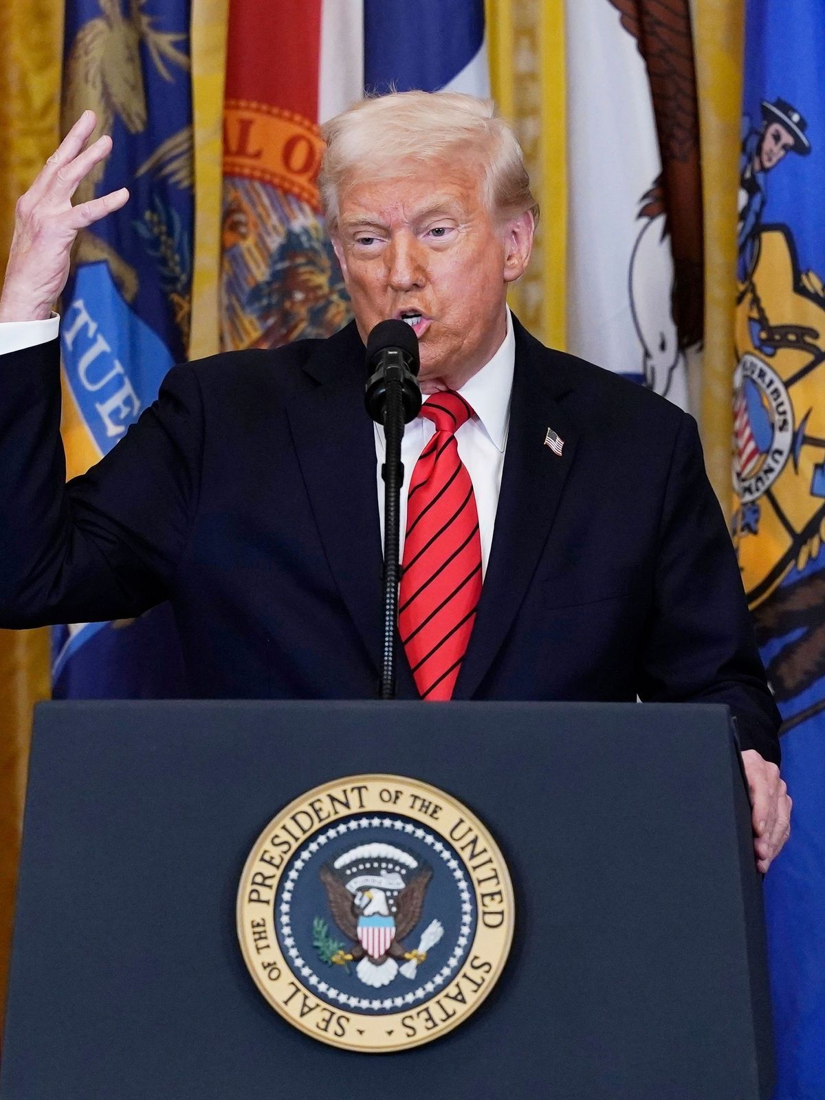 Trump Mass Firings