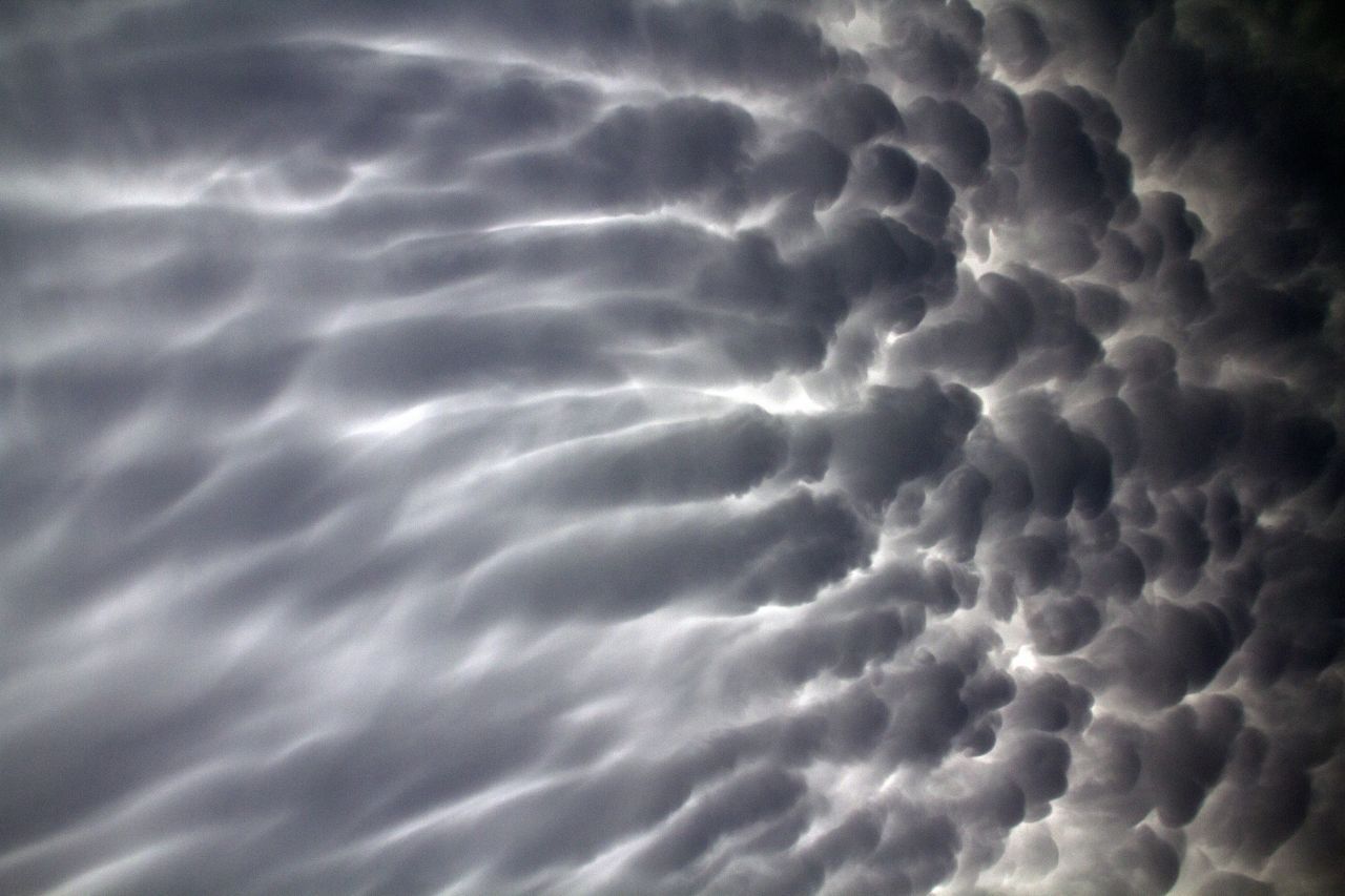 Mammatuswolken zeichnen sich durch beutelförmige Auswüchse an ihrer Unterseite aus. Der lateinische Begriff mammatus heißt übrigens: mit Brüsten versehen.