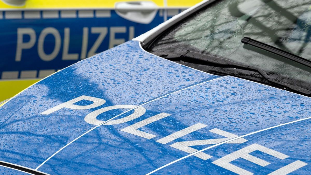 Symbolfoto Polizei