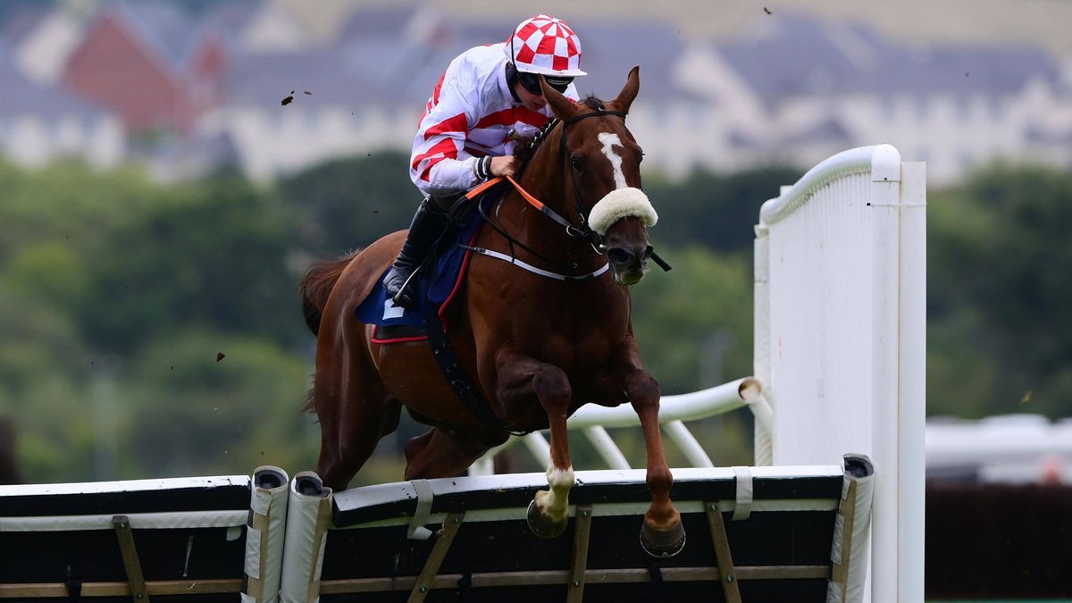 Newton Abbot Races, Newton Abbot, UK - 31 Aug 2024 Tronador ridden by Sean Bowen. - Race 4 - 3:55 Newton Abbot - Aubrey Loze Memorial Handicap Hurdle (GBB Race) (Class 2) at Newton Abbot Racecourse...