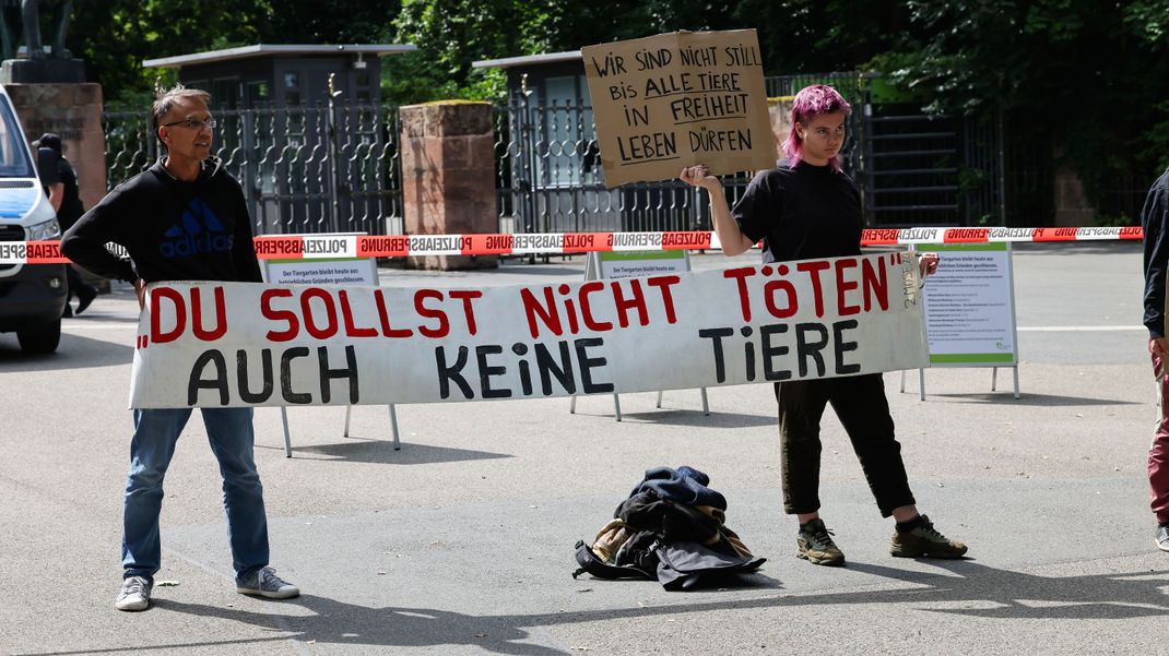 Animal Rebellion und vereinzelte Demonstranten anderer Gruppierungen stehen mit Protestschildern "Du Sollst nicht töten auch keine Tiere" und "Wir sind nicht still, bis alle Tiere in Freiheit leben" vor dem Tiergarten Nürnberg.