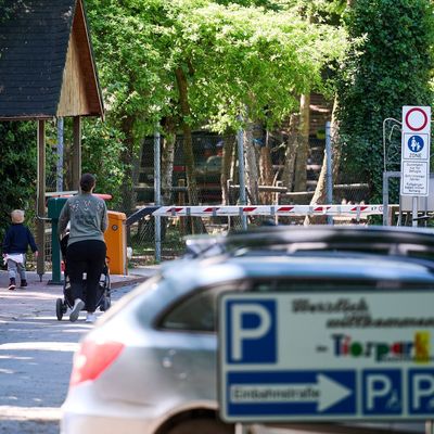 Tiger verletzt Mitarbeiterin in Tierpark