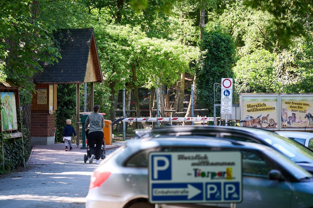 Tiger-Angriff in Delbrück: Im Tierpark Nadermann kam es zu einem Vorfall. (Symbolbild)