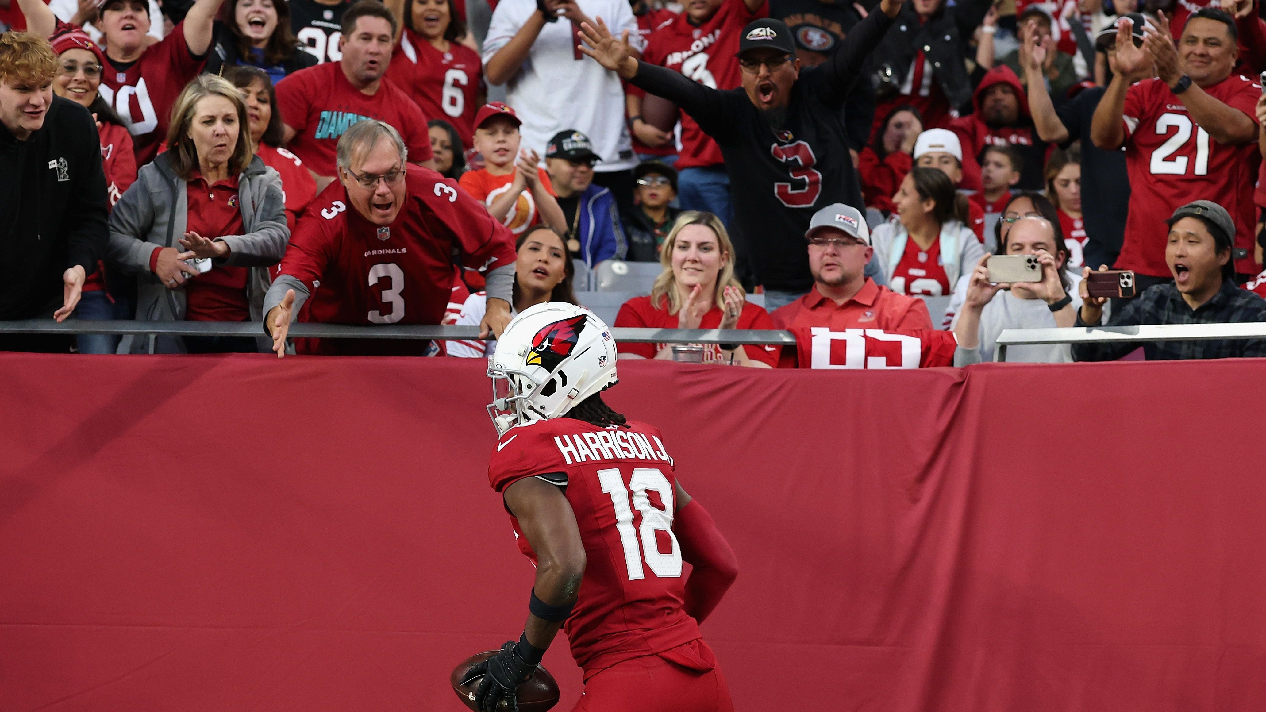 <strong>Platz 8: Arizona Cardinals</strong><br>Platzverweise: 26