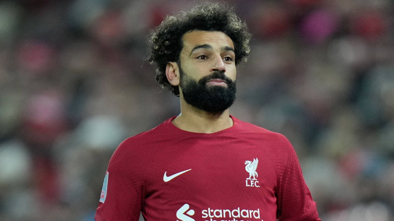 
                <strong>Mohamed Salah</strong><br>
                Nationalität: ÄgyptenVerein: FC LiverpoolPosition: Angriff
              
