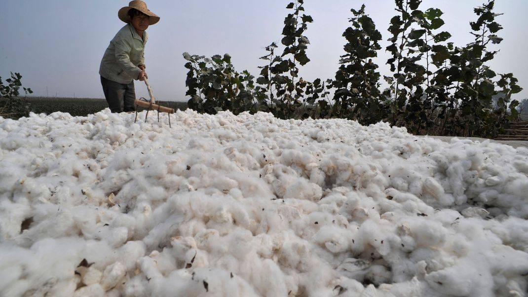 CHINA-COTTON/