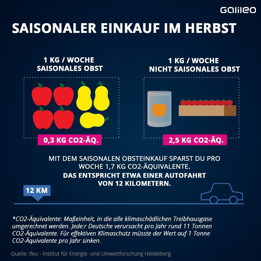 Die CO2-Bilanz von saisonalen Einkäufen.