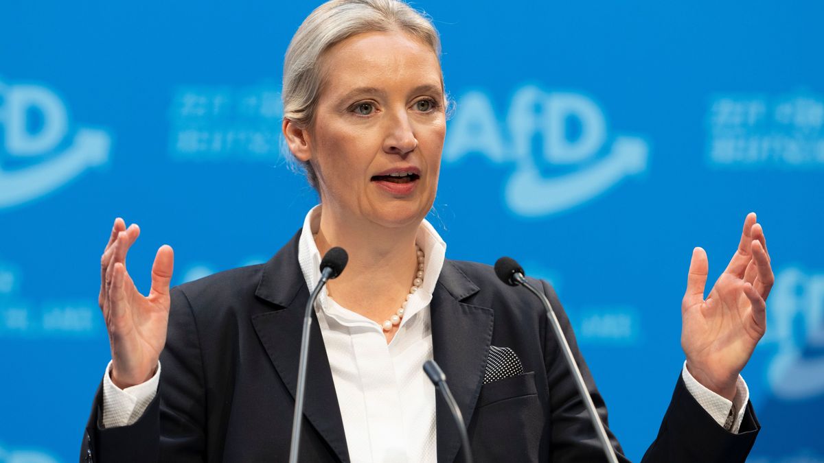 Alice Weidel, AfD-Kanzlerkandidatin