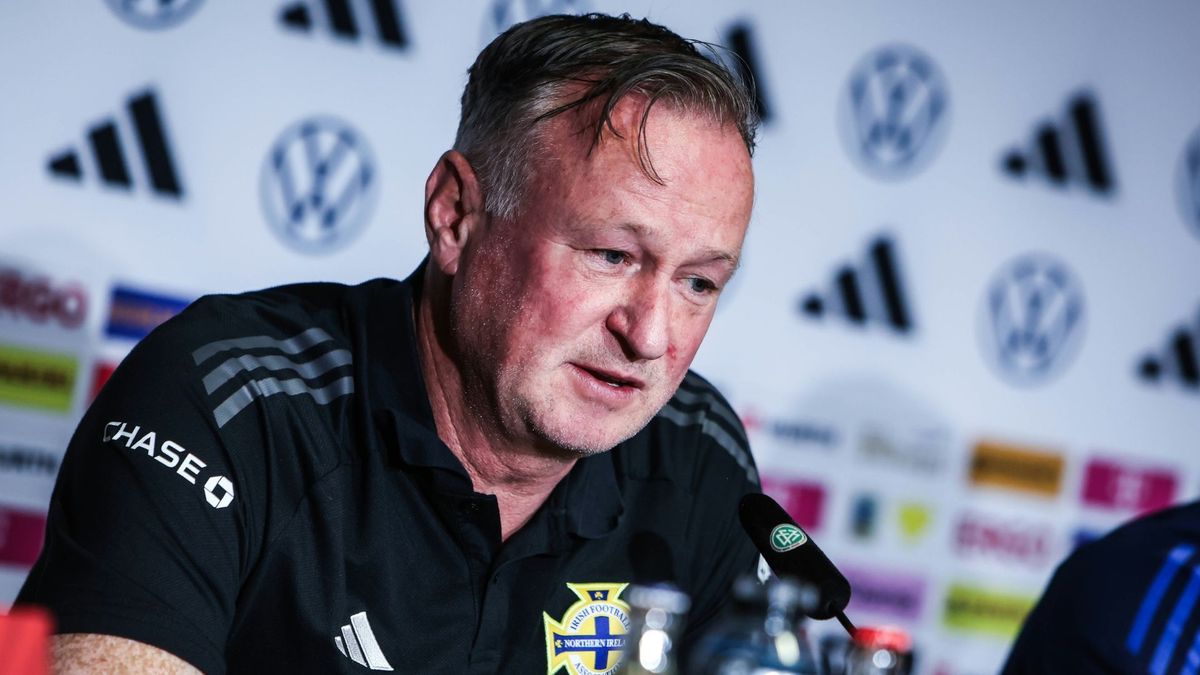 Der nordirische Coach Michael O&apos;Neill
