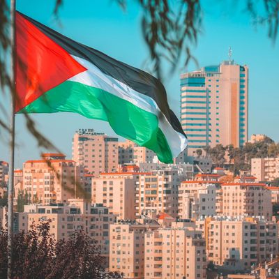 Palestine flag as through the tree with some city buildings at Ramallah