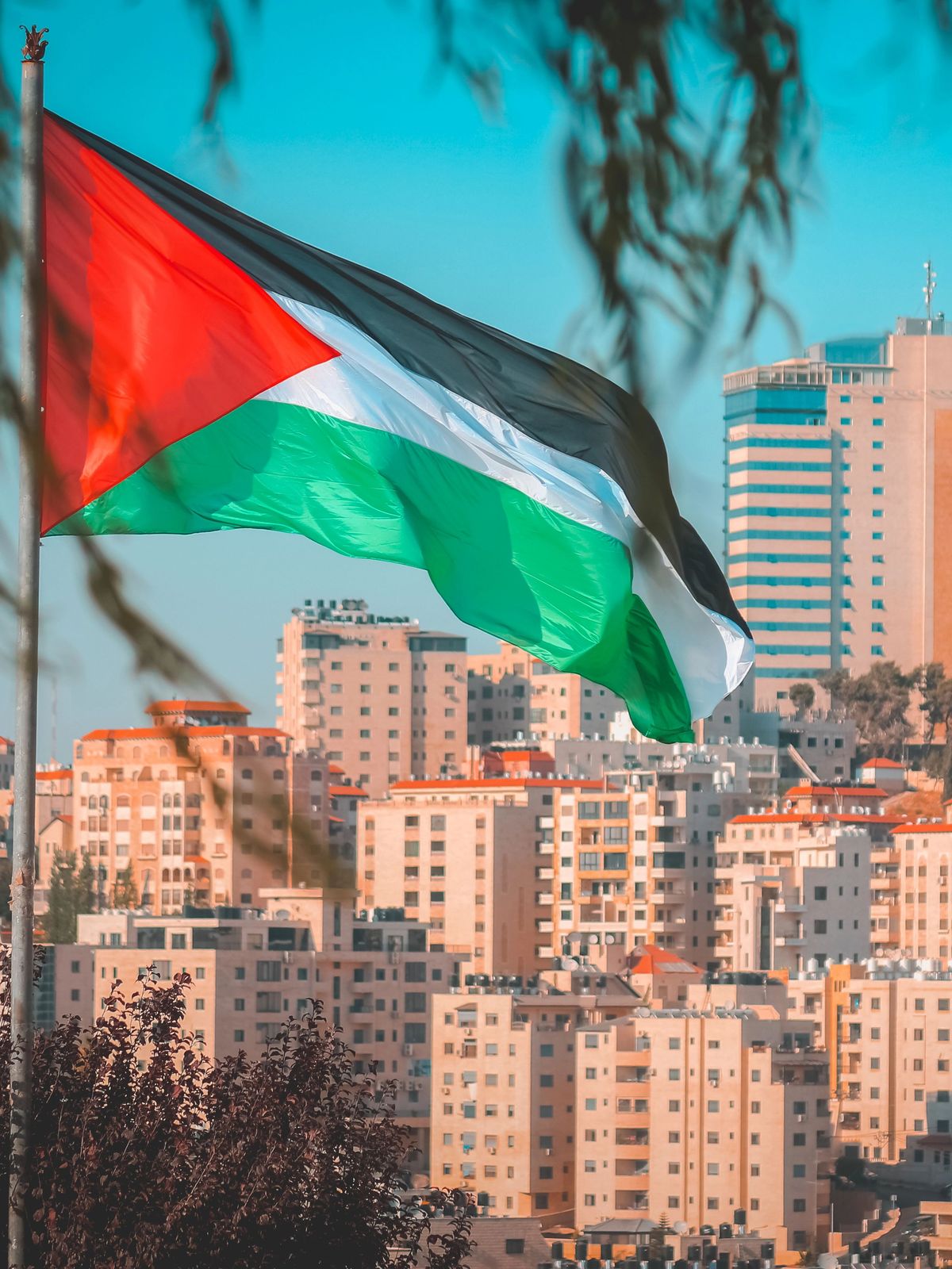 Palestine flag as through the tree with some city buildings at Ramallah