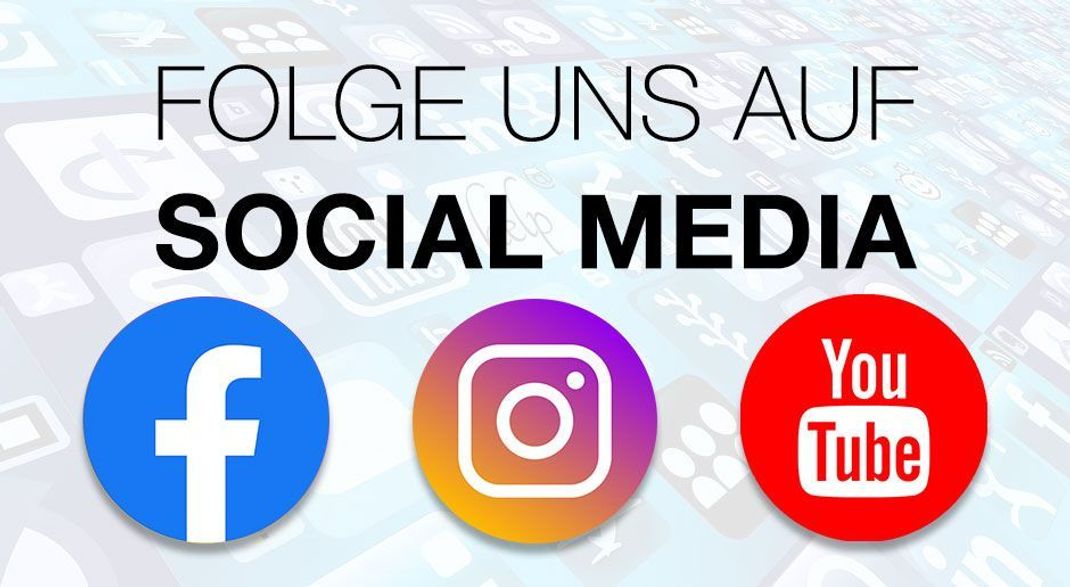 Article Image Media