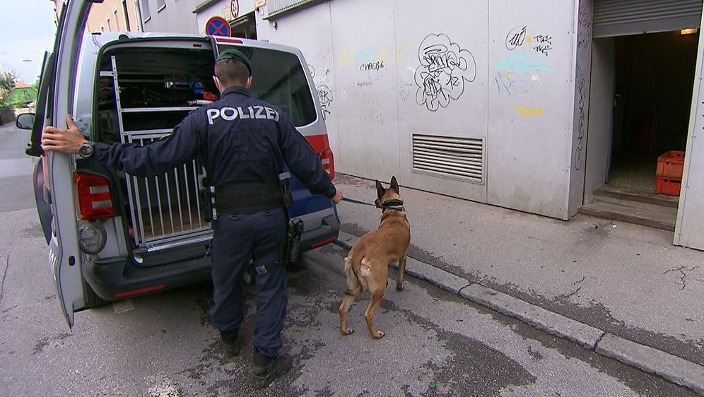 Manchmal wird ein Drogenspürhund eingesetzt, um Verstecke ausfindig zu machen.