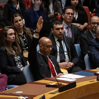 Im UN-Sicherheitsrat haben die USA von ihrem Veto-Recht Gebrauch gemacht.