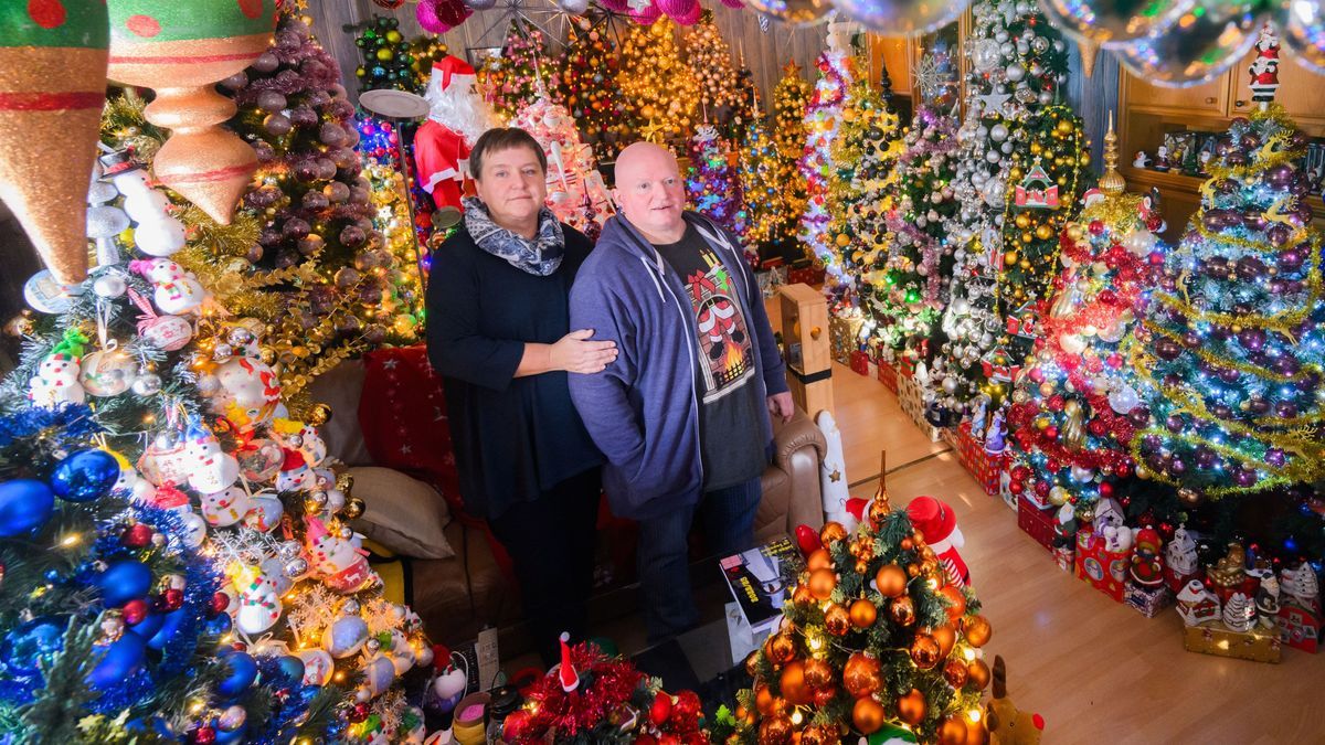 Rekord: Paar stellt 555 Weihnachtsbäume zu Hause auf