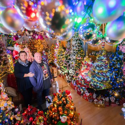Rekord: Paar stellt 555 Weihnachtsbäume zu Hause auf