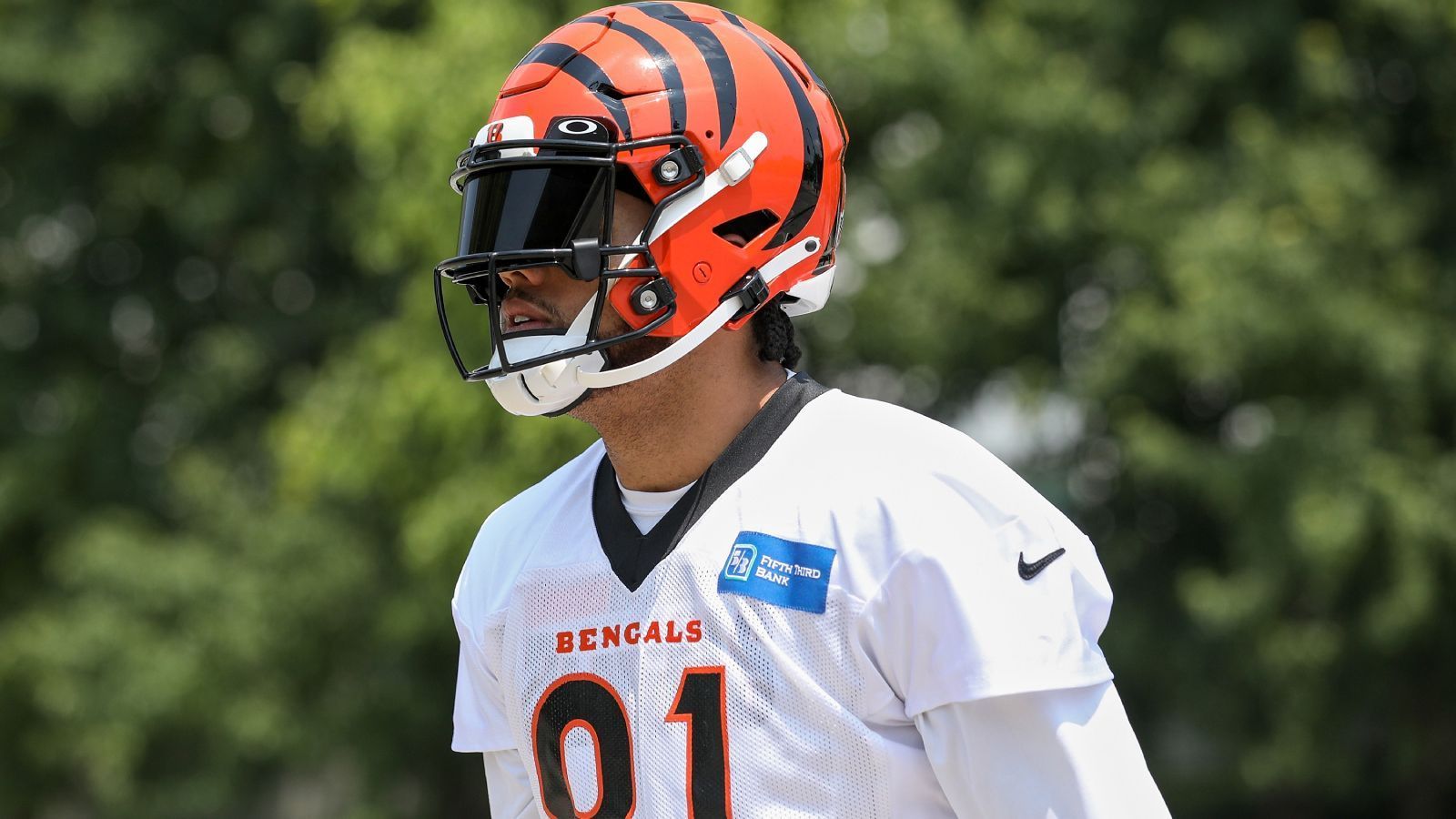 
                <strong>Cincinnati Bengals (AFC North): Thaddeus Moss</strong><br>
                Es waren bislang keine einfachen zwei NFL-Jahre für Thaddeus Moss. Der Sohn von Hall-of-Famer Randy Moss wartet noch immer auf seinen ersten Snap in einem Regular-Season-Spiel und wurde im vergangenen Jahr vom Washington Football Team entlassen. Jetzt allerdings ist er bei den Cincinnati Bengals und seinem College-Quarterback Joe Burrow gelandet, die Voraussetzungen könnten also nicht besser sein.
              