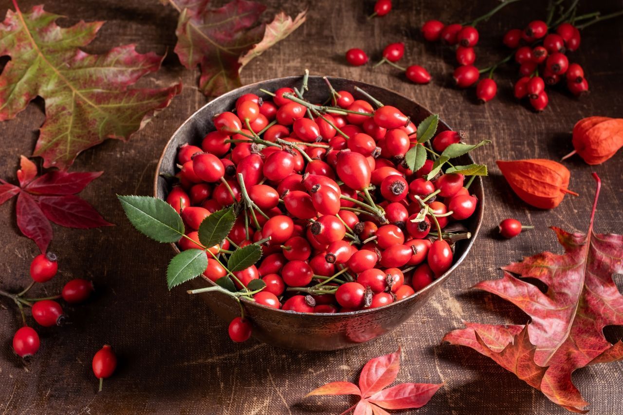 Hagebutten ähneln der Acerola nicht nur optisch, sondern auch im Vitamingehalt. Mit 1.250 mg Vitamin C pro 100 Gramm, sind sie der Acerola dicht auf den Fersen.