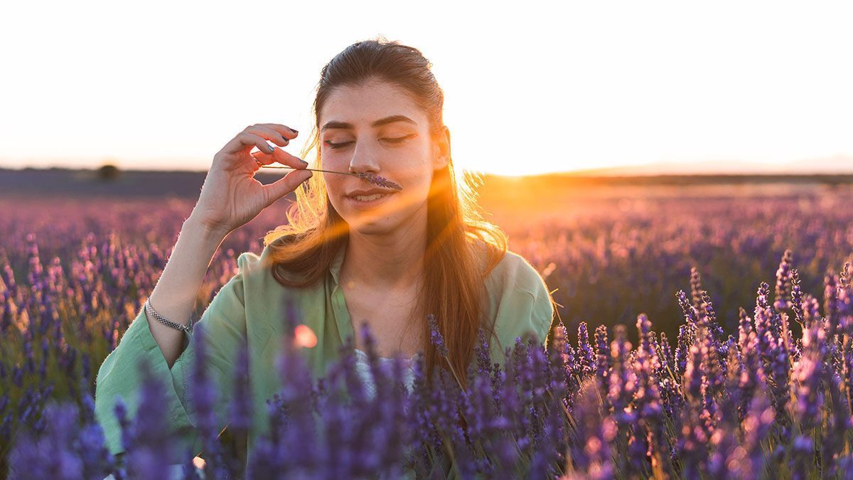 Beruhigend, ausgleichend und schafft Ruhe! Die Wirkungskraft von Lavendel hilft Verspannungen zu lösen und ist vor allem vor dem Schlafengehen sehr hilfreich.