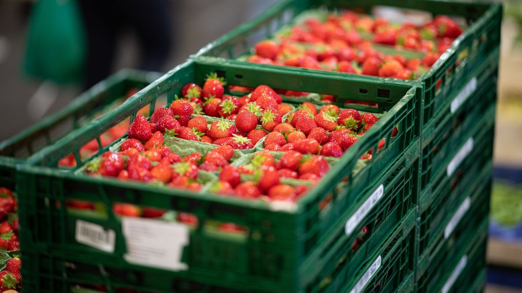 (Symbolbild) Erdbeeren lösten an einer amerikanischen High School eine Tragödie aus.