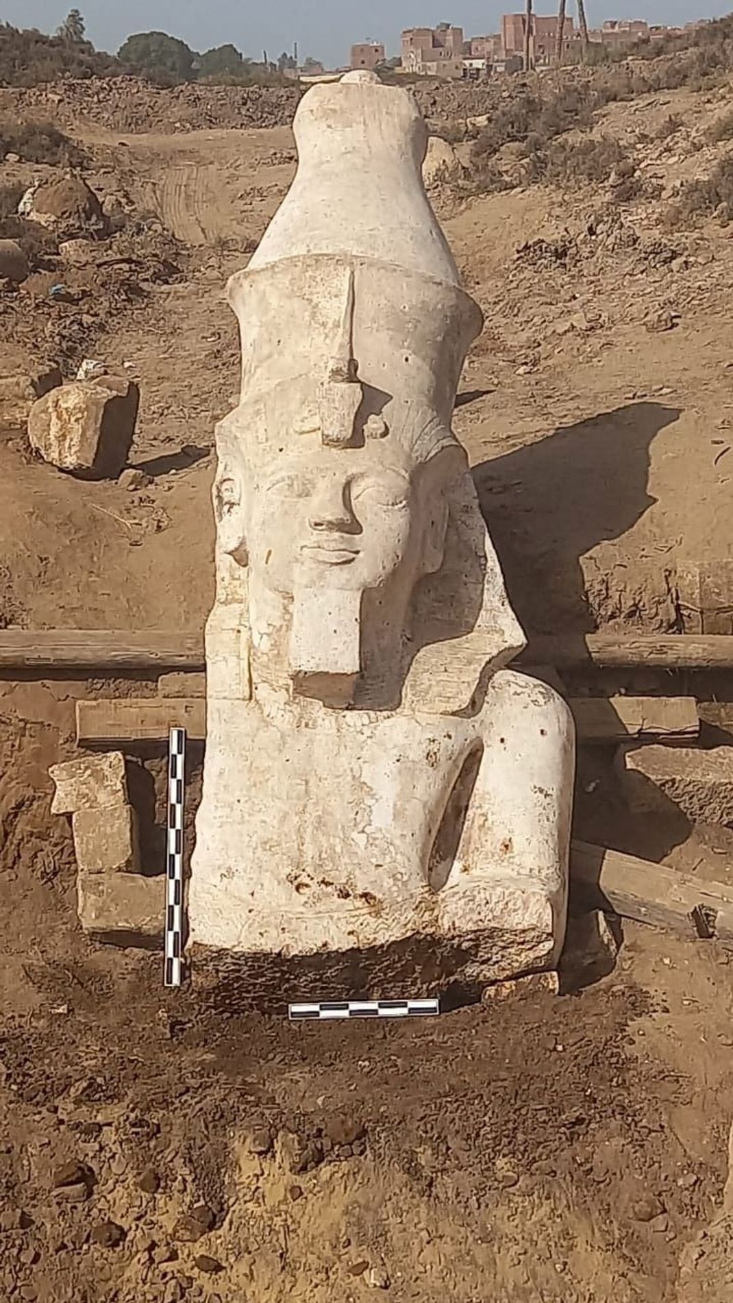 Der gefundene Ramses-Kopf ist fast vier Meter hoch.