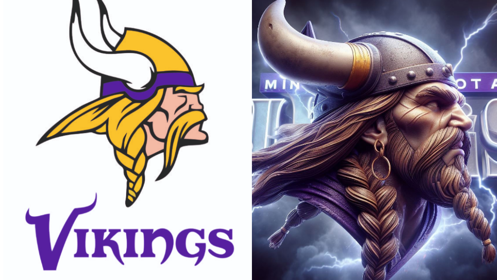 <strong>Minnesota Vikings</strong>