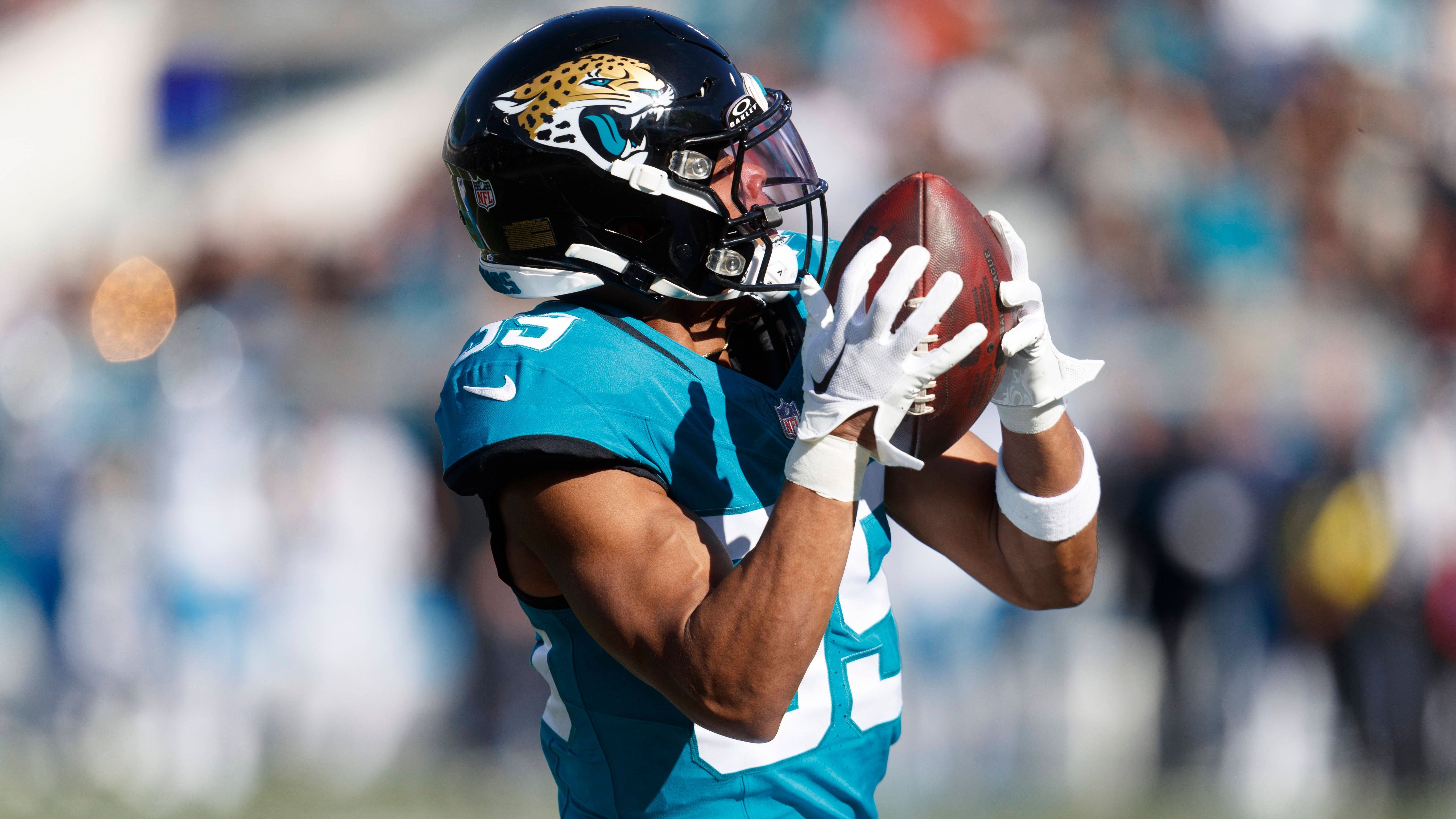 <strong>Jacksonville Jaguars</strong><br>Bilanz: 20-63-0<br>Siegquote: 24.1%