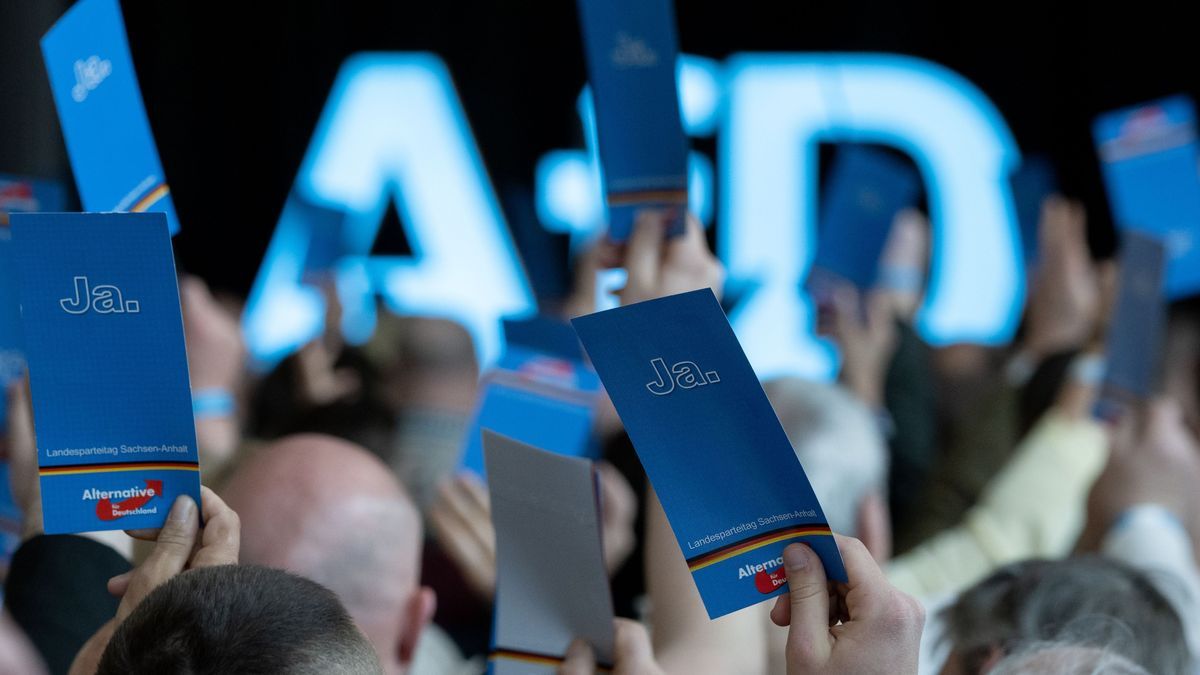 Delegierte stimmen auf dem Landesparteitag der AfD Sachsen-Anhalt ab.