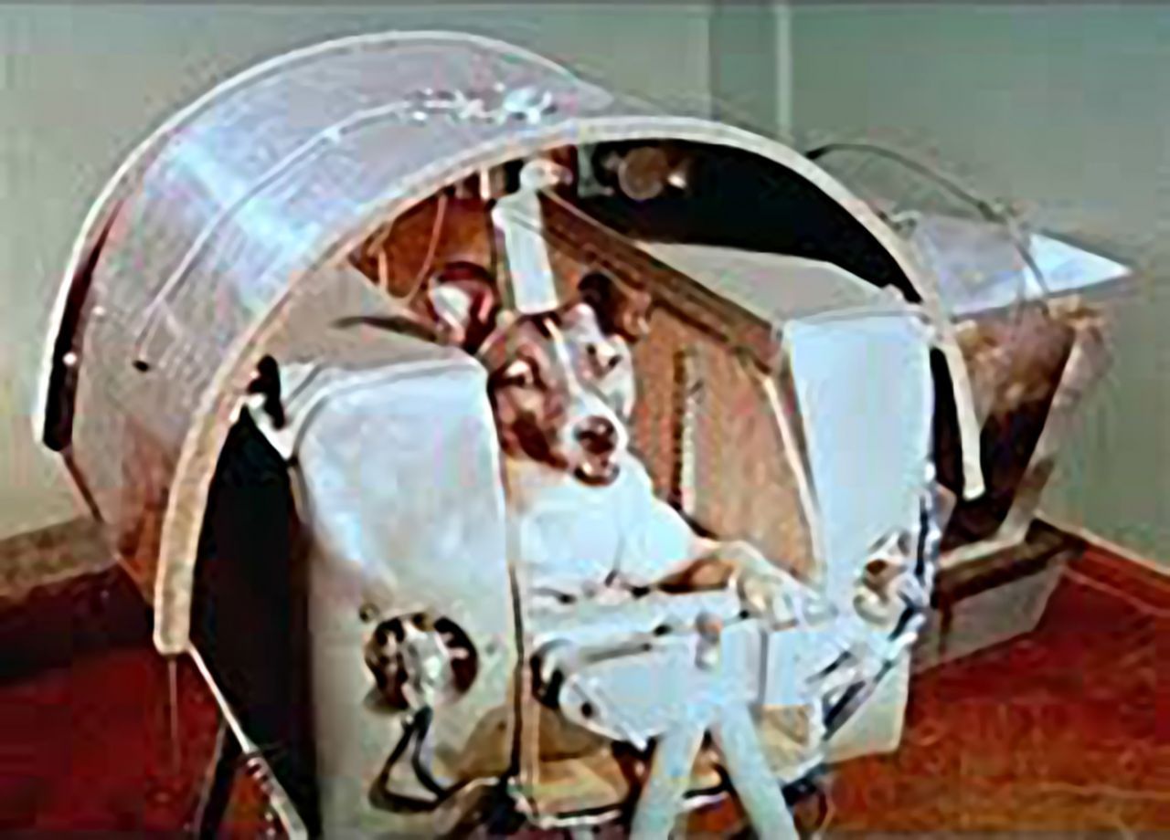 Laika war 1957 das erste Lebewesen in einer Erdumlaufbahn. Ihre Karriere als Bellonaut war nicht vorgezeichnet. Russische Wissenschaftler griffen die Mischlingshündin in einem Moskauer Vorort auf. Sie nahmen an, ein Streuner würde extreme Temperaturen und Hunger besser aushalten als ein Schoßhündchen. Auch Gassi gehen war unmöglich, denn sie steckte in einem Hunderaumanzug. Laikas Elend dauerte nur wenige Stunden. Vermutlich 