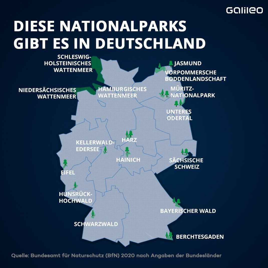 Diese Nationalparks gibt es in Deutschland. 