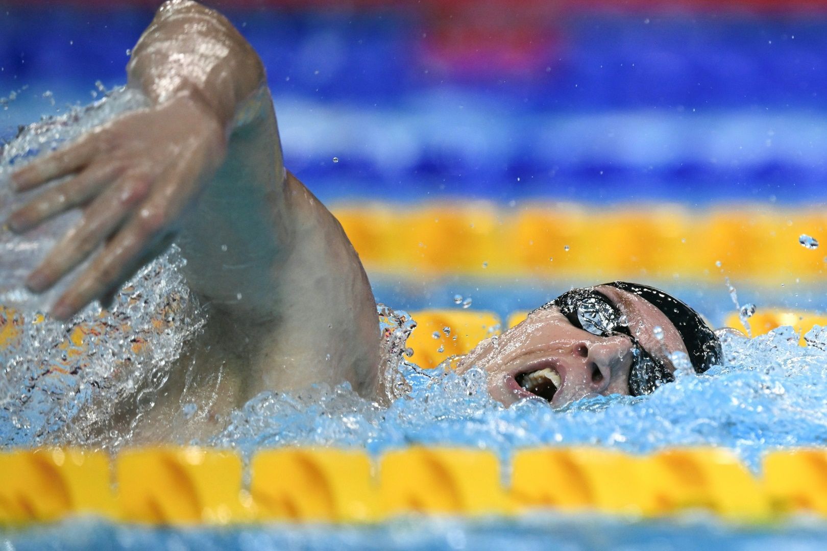 Schwimm-WM Singapur: Dramatische Finals am Donnerstag - Alle Highlights im Überblick!