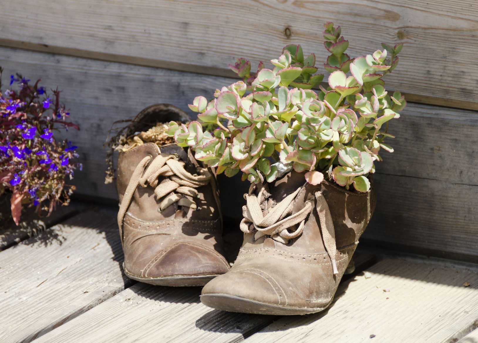 Raffiniert! Auch ausgediente Schuhe können als Pflanzengefäß herhalten.