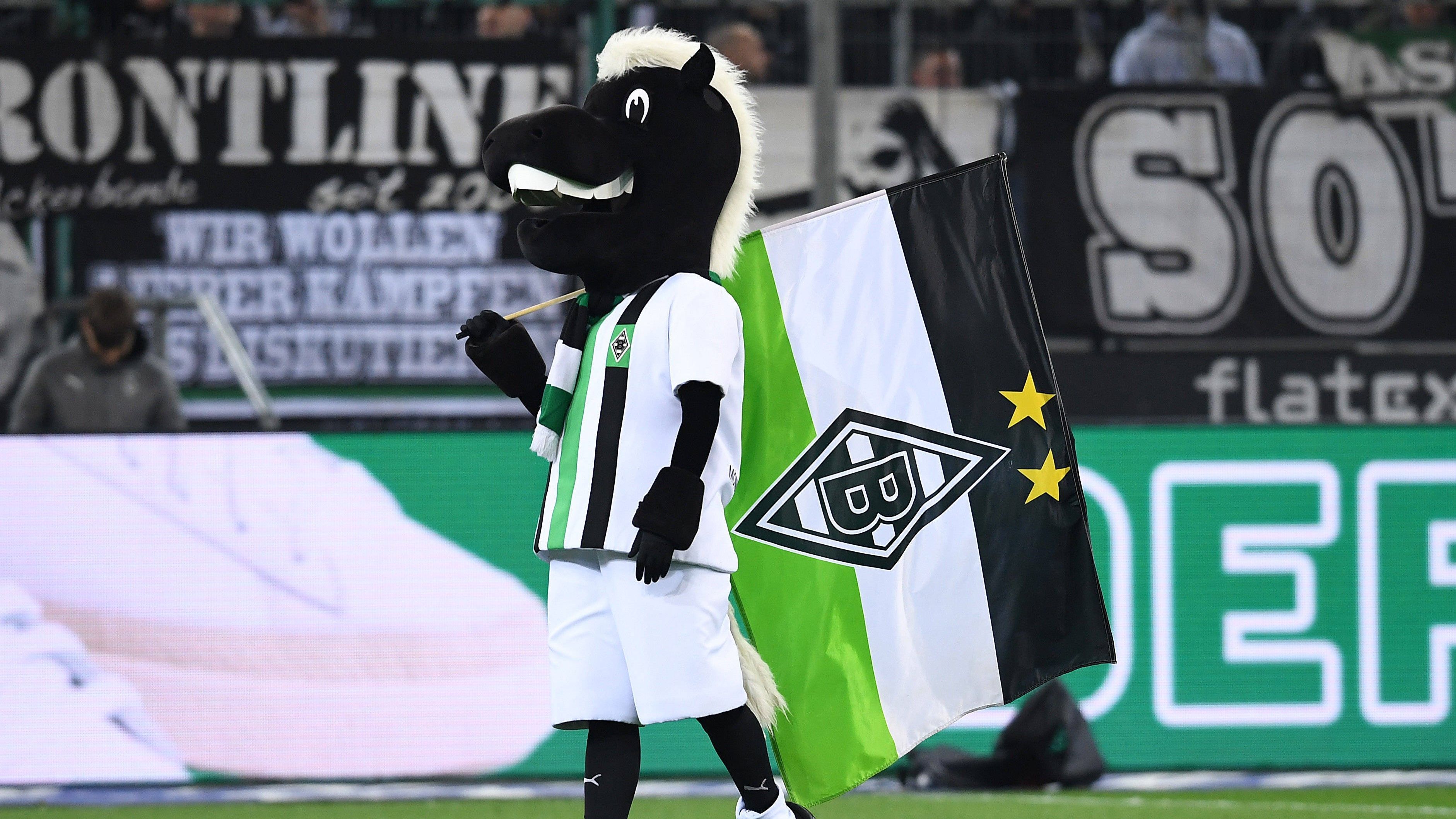 
                <strong>Borussia Mönchengladbach</strong><br>
                In der Kölner Nachbarschaft in Mönchengladbach hört die Mannschaft seit den 70ern auf den Namen Fohlenelf, der einst wegen der offensiven Spielweise eingeführt wurde. "Colts" bedeutet im Englischen Fohlen. Geboren sind die Borussia Colts.
              