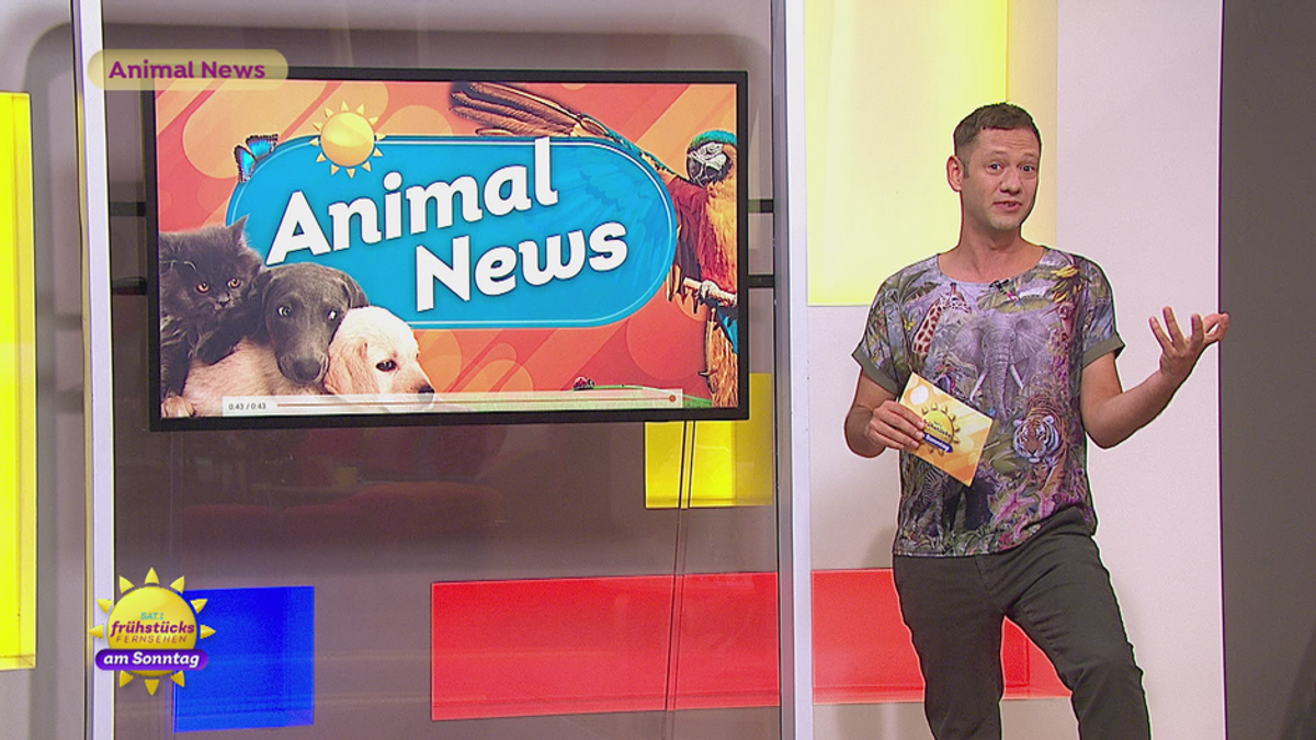 "Animal News " vom 11.5.2025