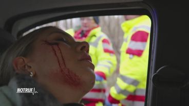 Hand am Handy, Auto am Baum