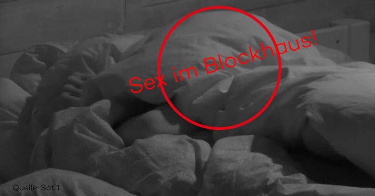 Hier bebt die Bettdecke: Erster Sex bei "Big Brother"!