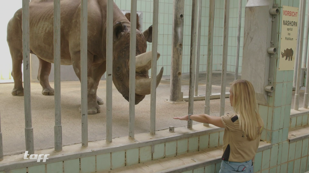 Tierquälerei oder Artenschutz? Sind Zoos noch zeitgemäß?