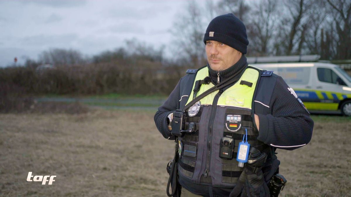 Alltagsheld: Michael Sehr rettet täglich Tiere