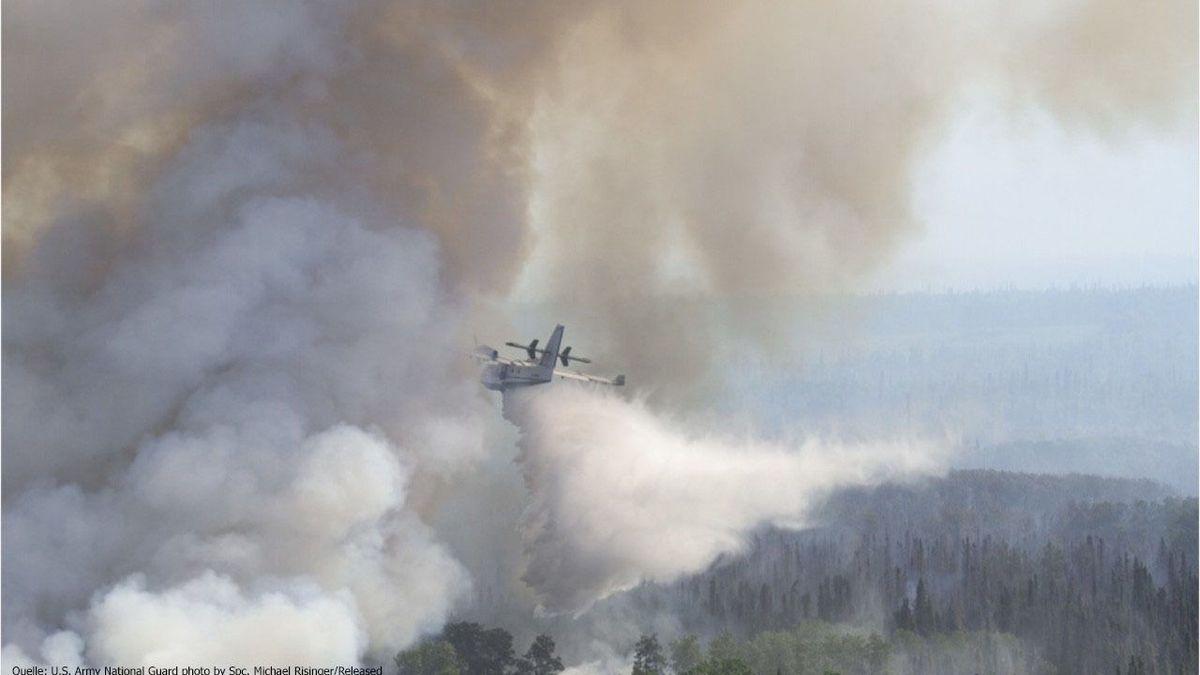 Heftige Aufnahmen: Riesige Feuer in der Antarktis