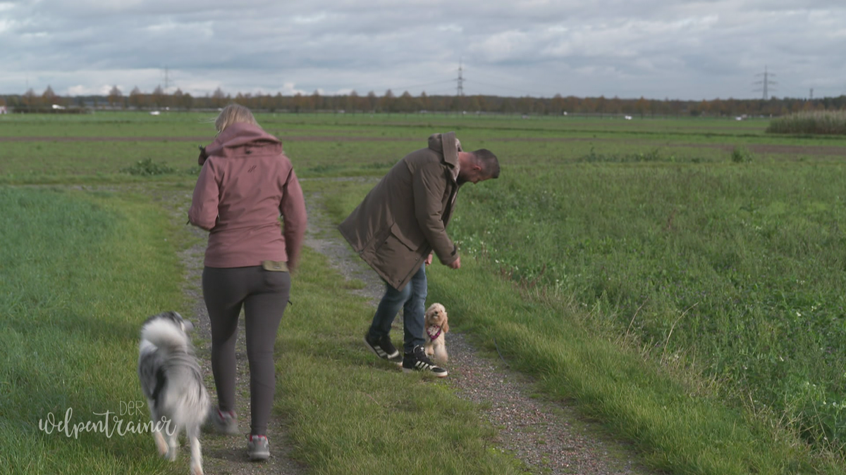 Ein Meilenstein in der Hunde-Erziehung: Hunde-Begegnungen