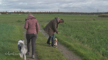 Ein Meilenstein in der Hunde-Erziehung: Hunde-Begegnungen