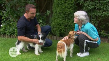 Jochen Bendel im Einsatz für Tiere
