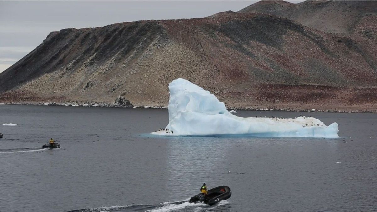 Nicht für möglich gehalten: Forscher geschockt über Rekord-Temperaturen in Antarktis