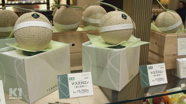 Teure Nahrungsmittel: Eine Melone für 170€ - was hat es damit auf sich?