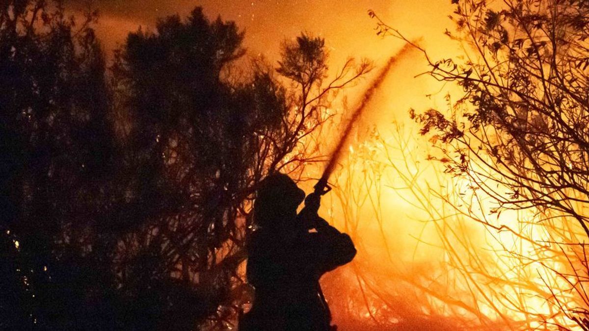 Waldbrand in Malibu: Auch Stars flüchten